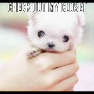 Come SEE inside my closet