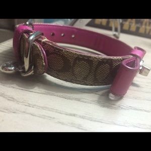 Xs puppy collar