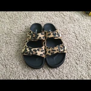 leopard print birkenstock style sandals