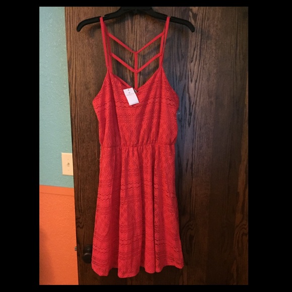 Brand new never worn knee length dress
