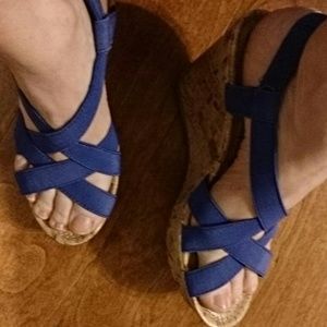 Blue Wedges