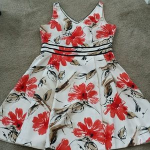 Spring/summer dress