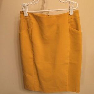 H&M Skirt Size 4 NWOT
