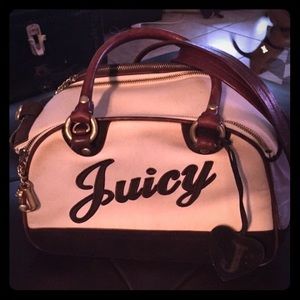 Dog carrier Vintage Pink w brown leather Juicy bag