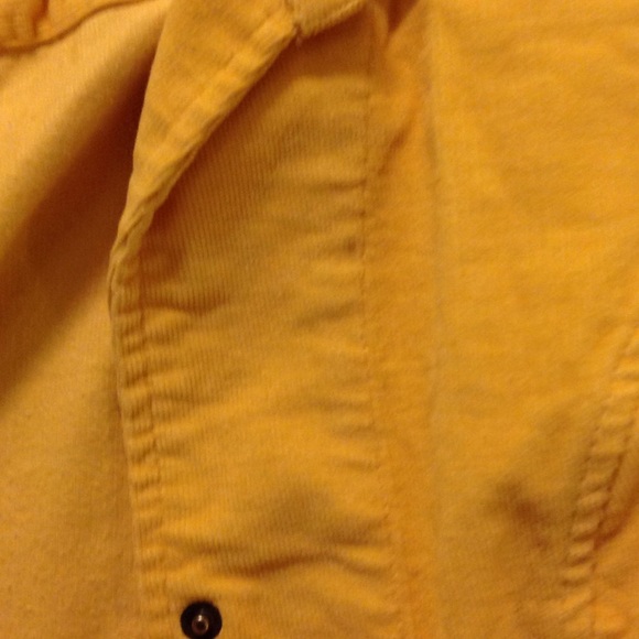 Yellow jacket - Picture 2 of 2