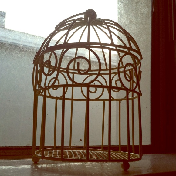 Mini bird cage