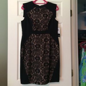 Adrianna Papell Petite Size 12 Lace Blocked Sheath