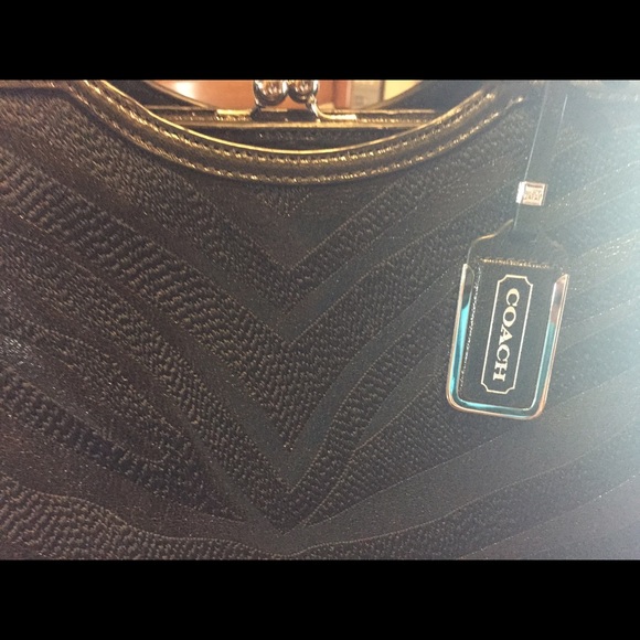 Coach pinnacle zebra satchel - Picture 2 of 4