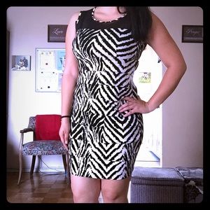 Black & White Zebra Print Dress