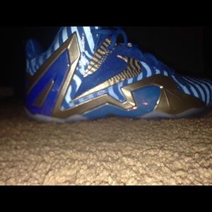 Lebron 11 elite Maison