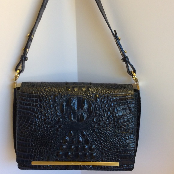 🔷Brahmin🔷