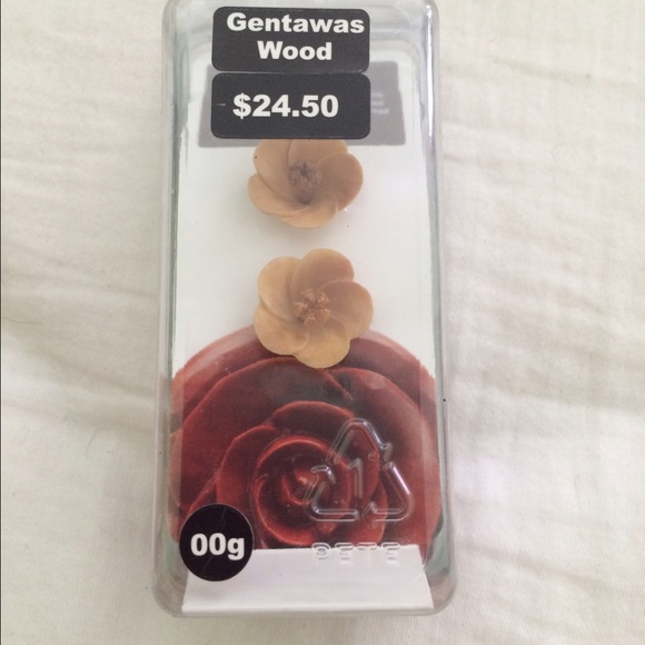 Wood plugs
