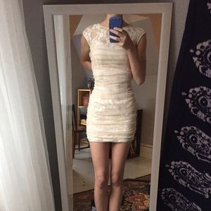 En Crème fitted lace dress