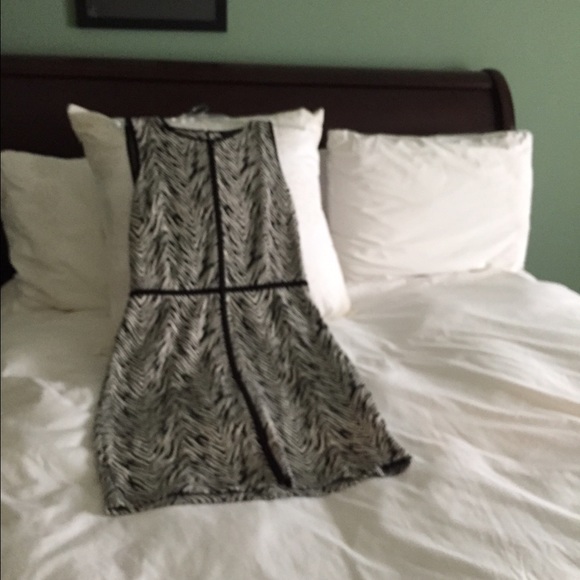 Zebra Dress - Picture 2 of 2