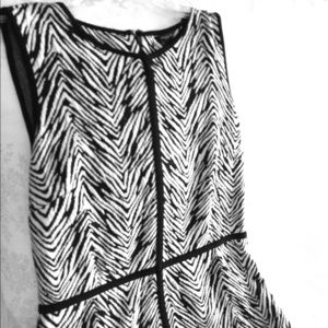 Zebra Dress
