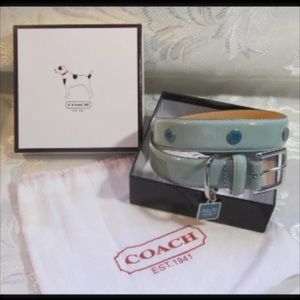 Coach XL dog collar (new)