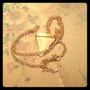 Shark tooth necklace