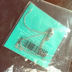 Sterling Silver Necklace