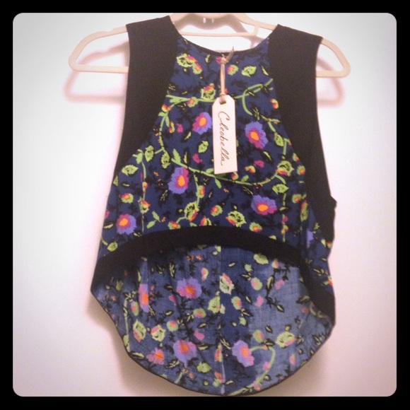 NWT CleoBella Floral crop top