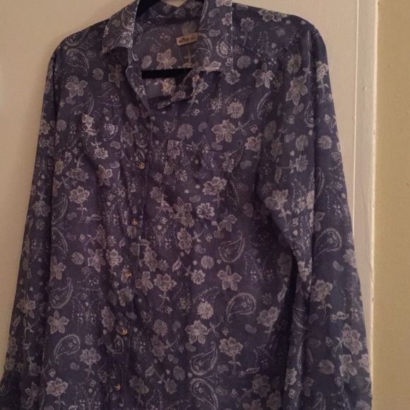 sheer hollister button down