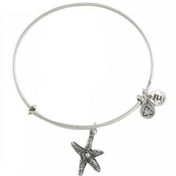 Alex and ani ISO