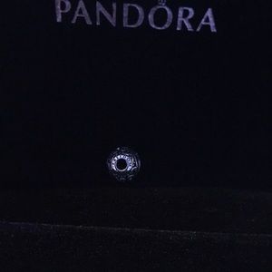 Pandora Essence charms