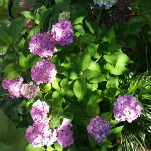 Beauty cannot be purchased, it's already in YOU!