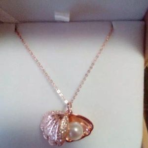 Newest style Necklace 🌷host picked 👏