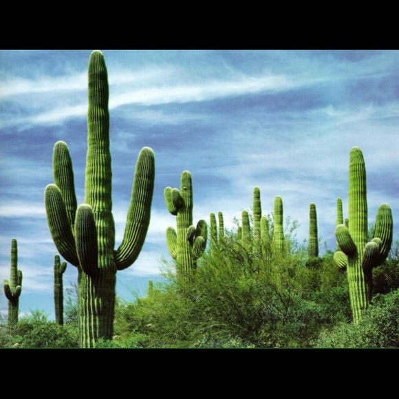 Relocating! - Picture 2 of 3