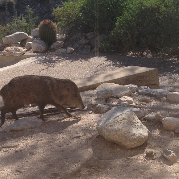 Relocating! - Picture 3 of 3