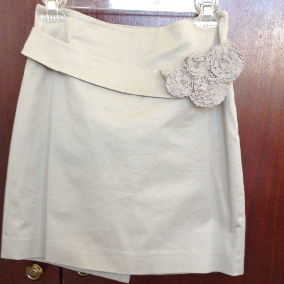 The Limited skirt