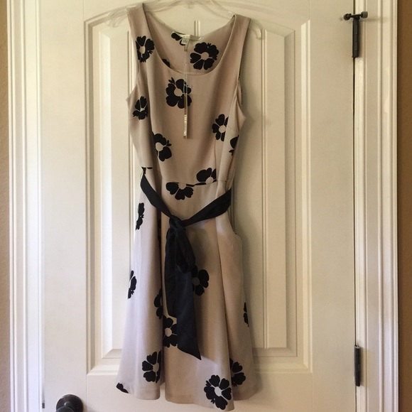 Lauren Conrad dress with pockets!