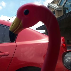 Bundle for twohootsworth