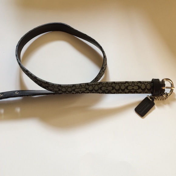 Coach belt