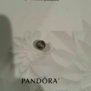 Authentic pandora charm
