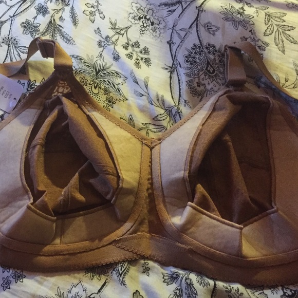 36G Mocha Leopard lace Print Bra never tried it on - Picture 3 of 4