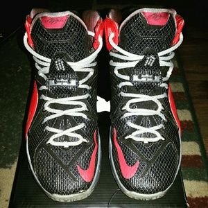 Lebron 12 id