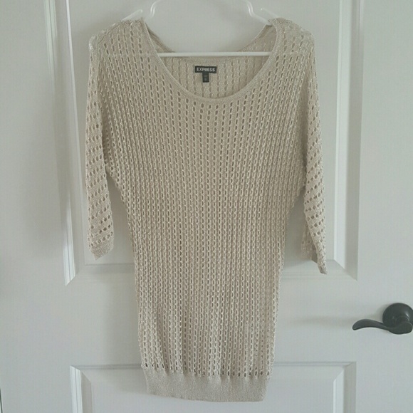 Express Shimmer Sweater