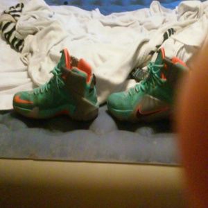 Lebron 12s
