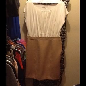 Ann Taylor Loft dress 8 petite