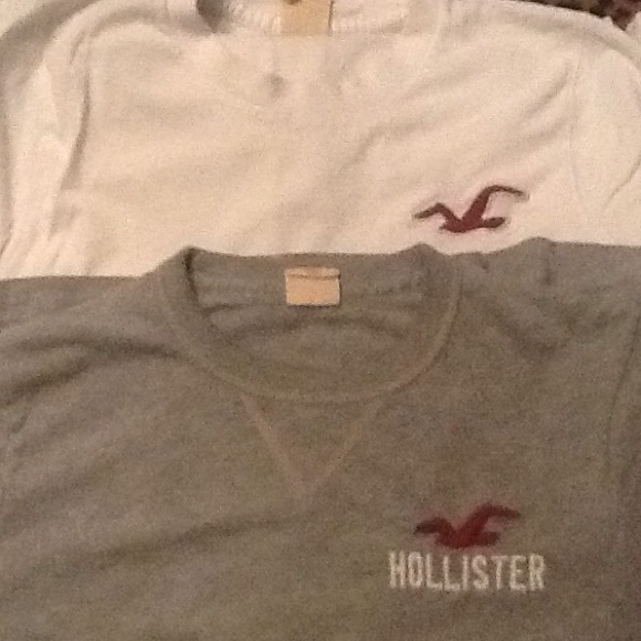 Mens Hollister Shirts
