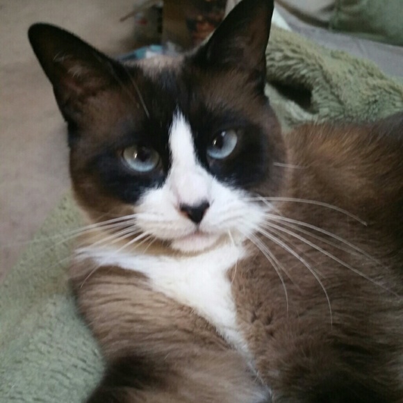 Positive Thoughts please for my Babies! Thank youu - Picture 5 of 6