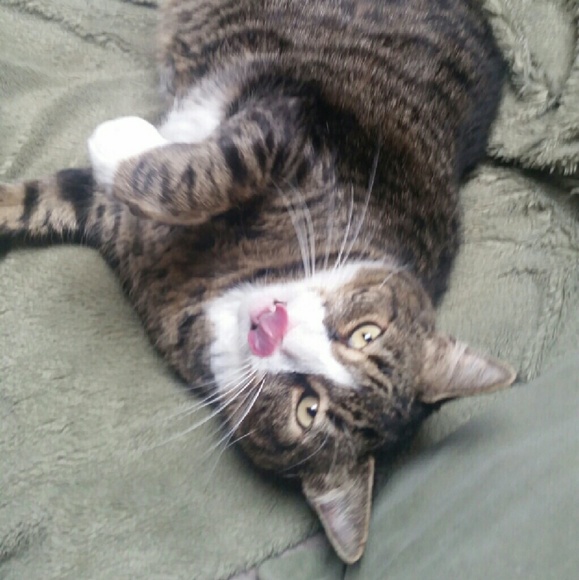 Positive Thoughts please for my Babies! Thank youu - Picture 4 of 6