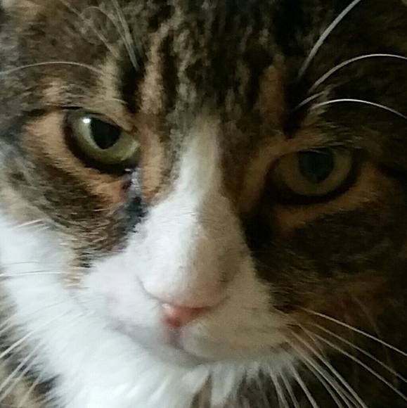 Positive Thoughts please for my Babies! Thank youu - Picture 3 of 6