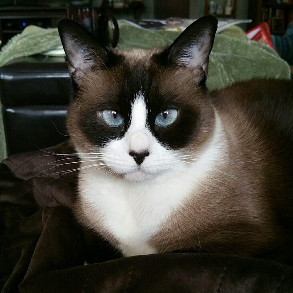 Positive Thoughts please for my Babies! Thank youu - Picture 6 of 6