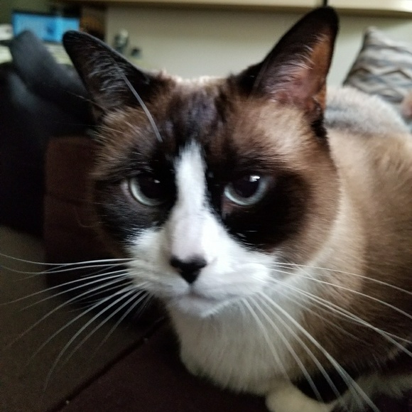 Positive Thoughts please for my Babies! Thank youu - Picture 2 of 6