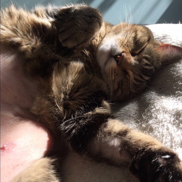 Meet Your Seller🙈🙈🙈 - Picture 3 of 4