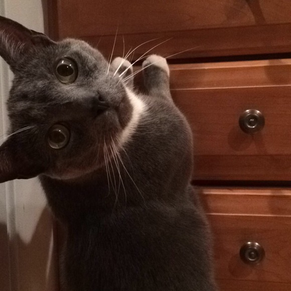 Meet Your Seller🙈🙈🙈 - Picture 4 of 4