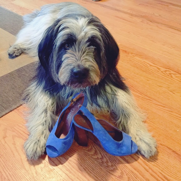 Jeffery Campbell blue suede peep toe high heels