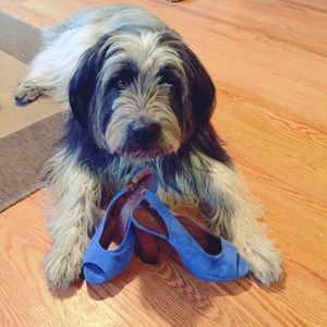 Jeffery Campbell blue suede peep toe high heels